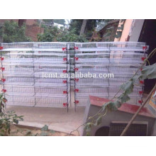 Poultry Layer Farming equipment chicken cage system